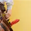 Handyman repair service in Grand Rapids, MI for home fixes and improvements